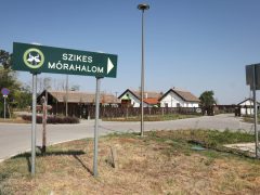 Mórahalom, Szikes Mórahalom Látogatóközpont, Bivalyrezervátum, Gólyamenedékház, Nagyszéksós-tó, természet