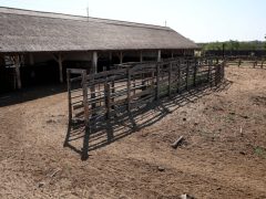 Mórahalom, Szikes Mórahalom Látogatóközpont, Bivalyrezervátum, Gólyamenedékház, Nagyszéksós-tó, természet