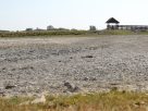 Mórahalom, Nagyszéksós-tó, aszály, kiszáradt, nyár