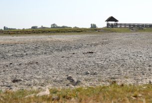 Mórahalom, Nagyszéksós-tó, aszály, kiszáradt, nyár
