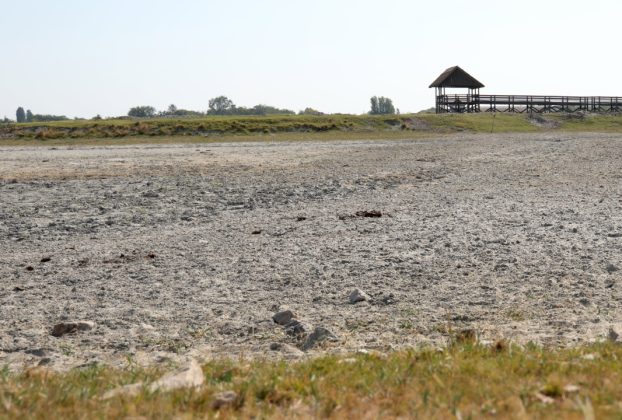 Mórahalom, Nagyszéksós-tó, aszály, kiszáradt, nyár