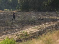 Szeged, kigyulladt, Szőke Tisza hajóroncs, Szőke Tisza, hajó, Tápé, tűz, tűzoltó, Tápéi-öböl, nyár, aszály, avartűz