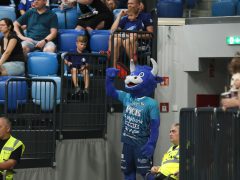 Szeged, OTP Bank Pick Szeged, HBC Nantes, kézilabda, edzőmeccs, Pick Aréna, sport