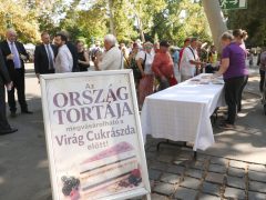 Szeged, augusztus 20., díszünnepség, koszorúzás, Széchenyi tér, ország tortája