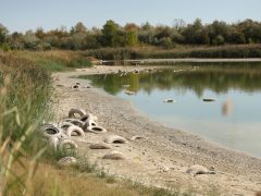Szeged, szárazság, aszály, kiszáradt, tó, Gumis-tó, gumi, gumiabroncs, környezetszennyezés, természet