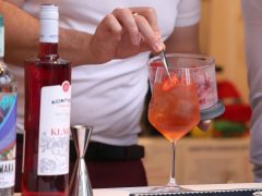 Szeged, Gin és Rum Gasztro Fesztivál, Móra park