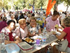 Szeged, Tiszai Halfőző Fesztivál, Partfürdő, halászlé, hal
