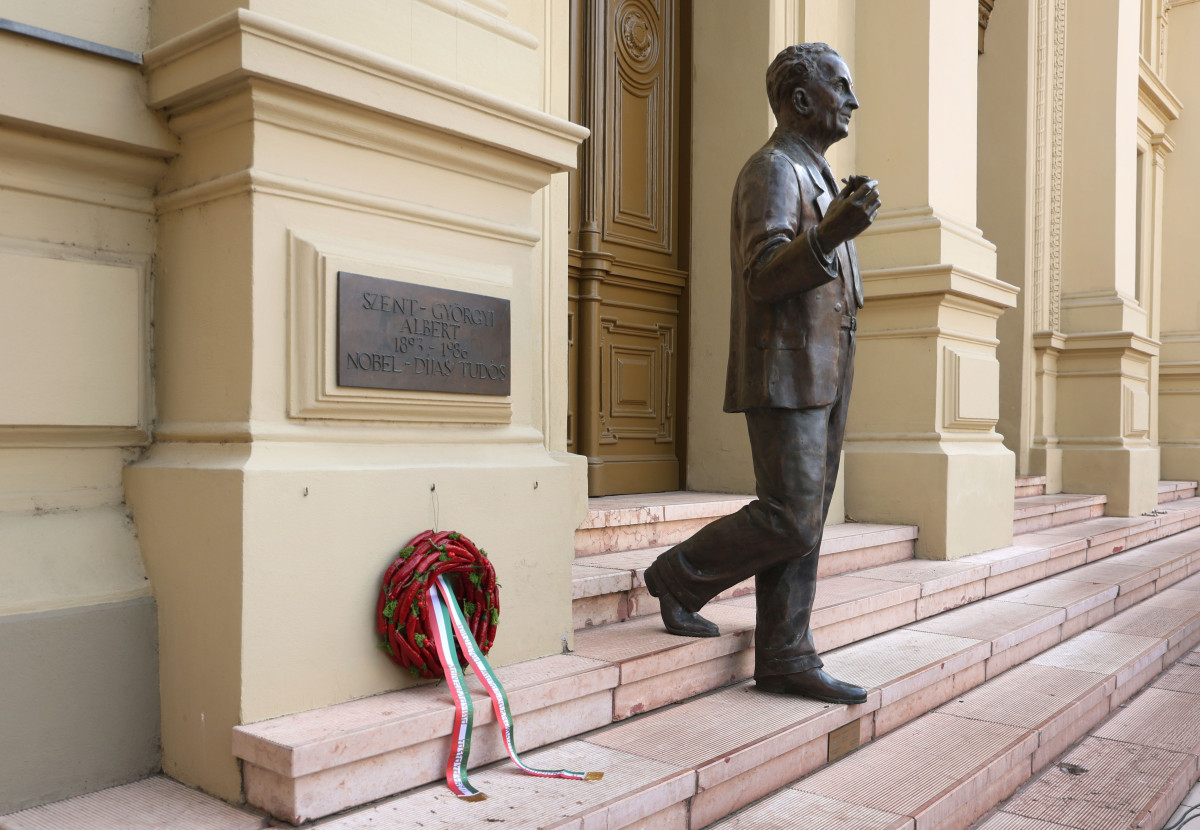 Szeged, Szent-Györgyi Albert, évforduló, Szegedi Tudományegyetem, SZTE, egyetem, megemlékezés, Rektori Hivatal, szobor