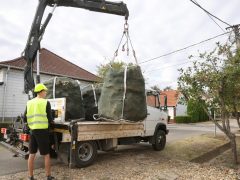 Szeged, önkormányzat, szociális tüzifa osztás, tüzifa, Petőfitelep, Csap utca 80., Rácz Gábor Mihály