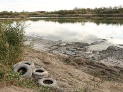 Szeged, Vízmű, Norbo-Ép Kft., megtisztította, Gumis-tó, gumi, hulladék, szemét, gumiabroncs, elszállítás