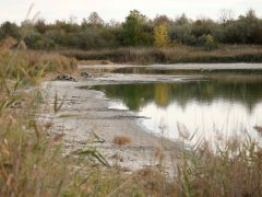 Szeged, Vízmű, Norbo-Ép Kft., megtisztította, Gumis-tó, gumi, hulladék, szemét, gumiabroncs, elszállítás