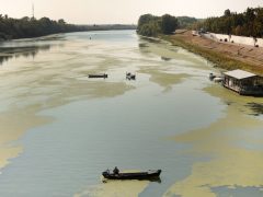 Szeged, békalencse, Tisza, folyó, alacsony vízállás, ősz, természet, horgász, úszóház
