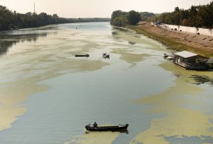 Szeged, békalencse, Tisza, folyó, alacsony vízállás, ősz, természet, horgász, úszóház