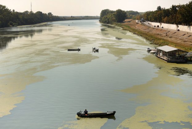Szeged, békalencse, Tisza, folyó, alacsony vízállás, ősz, természet, horgász, úszóház