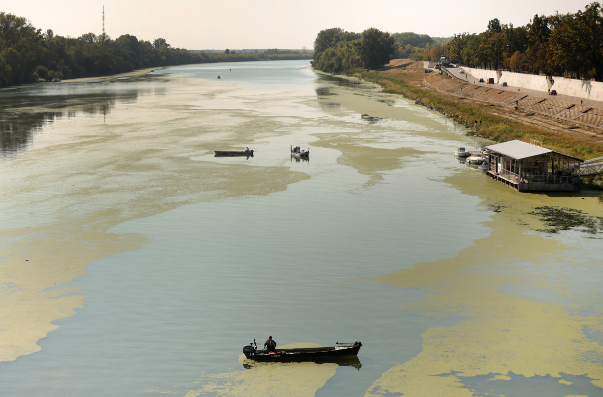 Szeged, békalencse, Tisza, folyó, alacsony vízállás, ősz, természet, horgász, úszóház