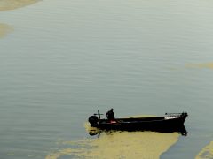 Szeged, békalencse, Tisza, folyó, alacsony vízállás, ősz, természet, horgász, úszóház