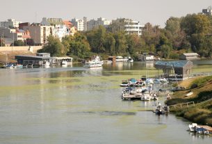 Szeged, békalencse, Tisza, folyó, alacsony vízállás, ősz, természet, horgász, úszóház