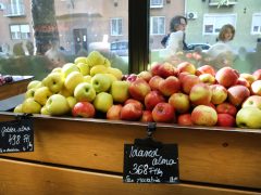 Szeged, Munch bolt, ételmentés, Munch Pont, Mérey utca
