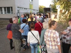 Szeged, őszi virágosztás, virágosztás, árvácska, virág, Tabán utca, Urbán Tamás