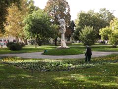 Szeged, önkormányzat, őszi virágok, ültetés, Széchenyi tér