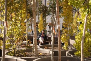 Szeged, ,fa, fák, erdő, belváros, Klauzál tér, Sétáló erdő, Walking Trees, környezetvédelem, projekt