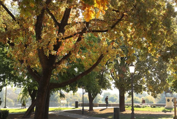 Szeged, október, napos, ősz, időjárás, belváros