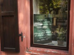 Szeged, 36 éves, Margaréta Pizzéria, pizzéria, rekord, Magyarország legrégebbi, Magyar Rekord Egyesület, étterem, vendéglátás