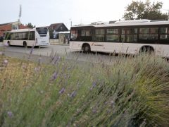 Szeged, Petőfitelep, Fő tér, buszpályaudvar, busz, tömegközlekedés