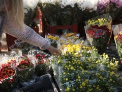 Szeged, koszorú, virág, mécses, Mars téri piac, piac, mindenszentek
