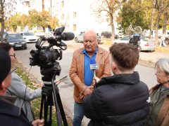 Szeged, Cserzy Mihály utca, zöldítés, elválasztósziget, növények