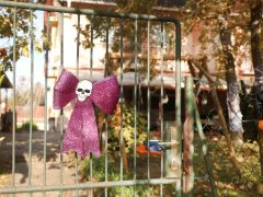 Szeged, halloween, dekoráció, újszeged, házak
