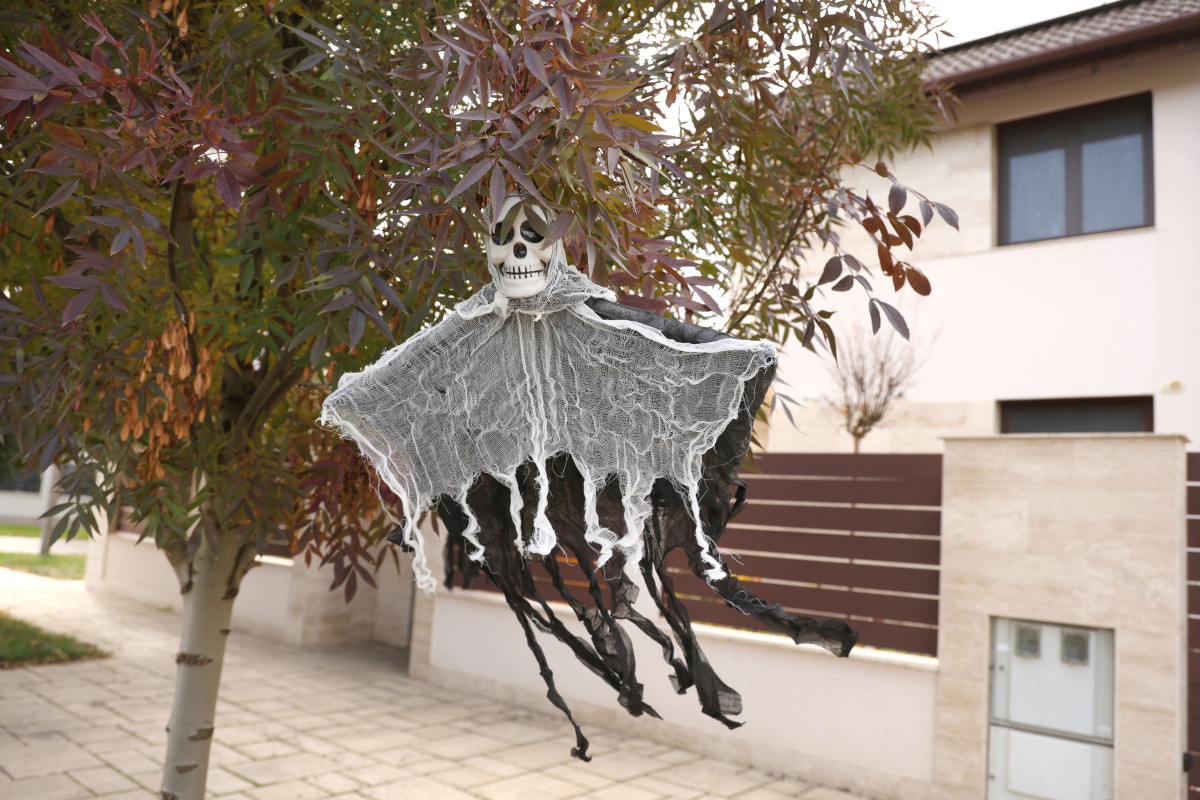 Szeged, halloween, dekoráció, újszeged, házak