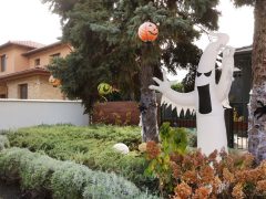 Szeged, halloween, dekoráció, újszeged, házak