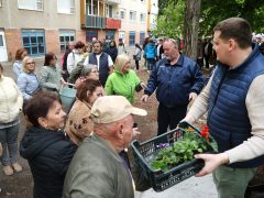 Szeged, tavasz, virágosztás, újszeged, Herke utc, virág, önkormányzat